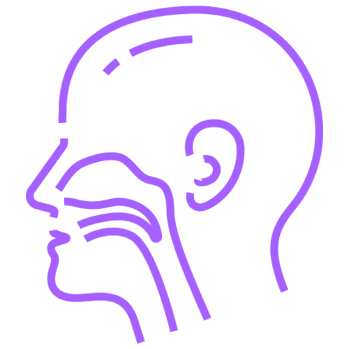 Чих хамар хоолой